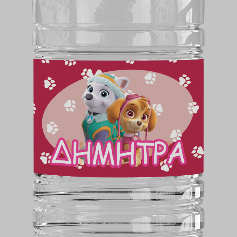 Ετικέτες νερού με όνομα Skye and Everest / 8 τμχ