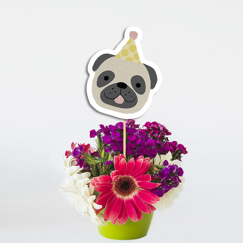 Διακοσμητικό Τοππερ Hello Pets χάρτινο για τον Μπουφέ/ 20cm