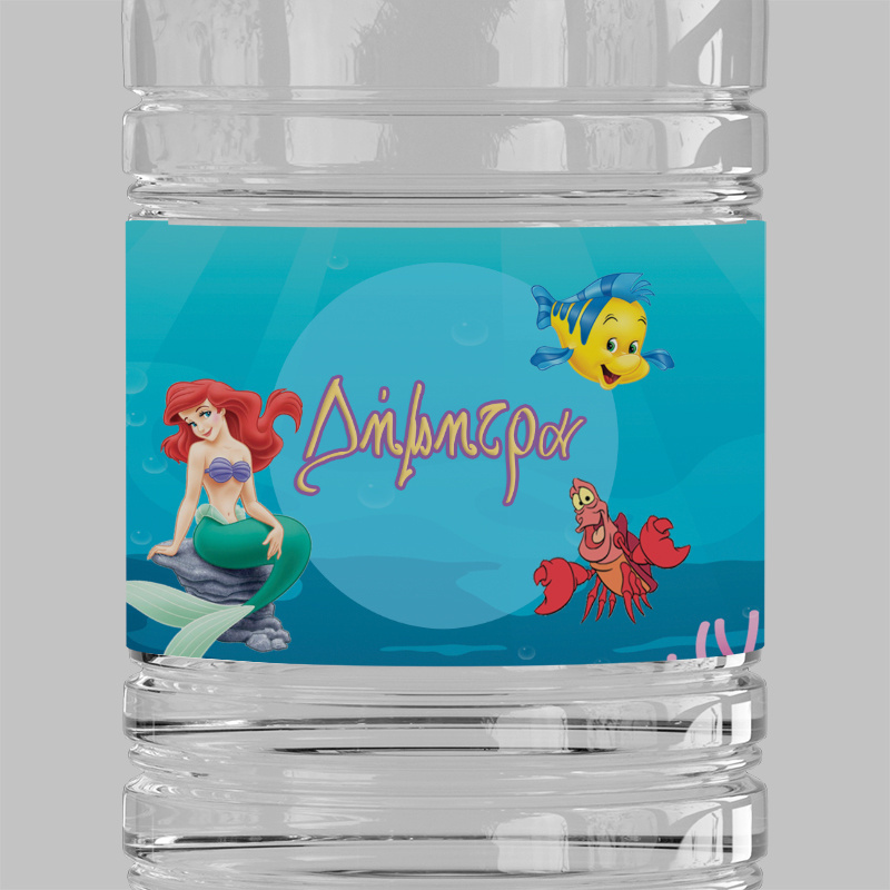 Ετικέτες νερού με όνομα Ariel / 8 τμχ