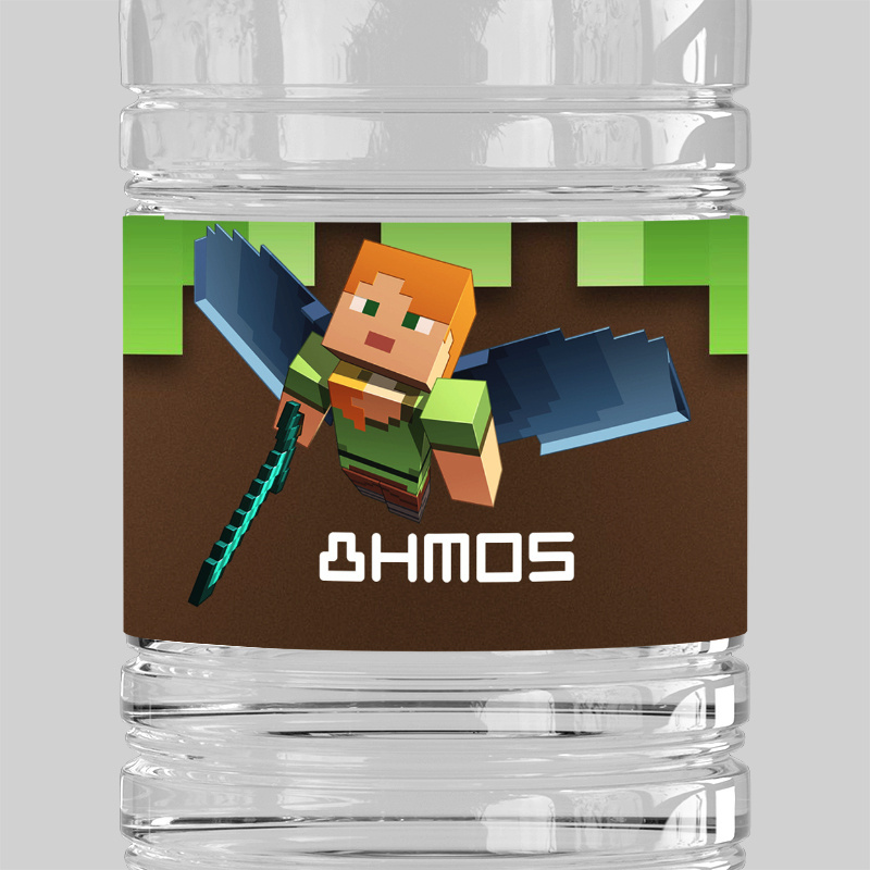 Ετικέτες νερού με όνομα Minecraft / 8 τμχ