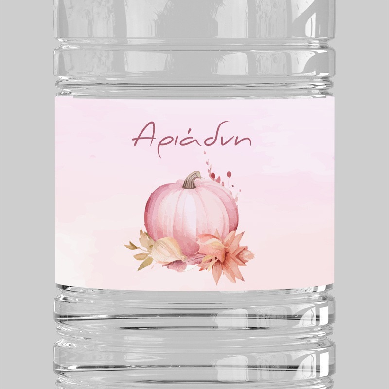 Ετικέτες νερού με όνομα Κολοκύθα / 8 τμχ