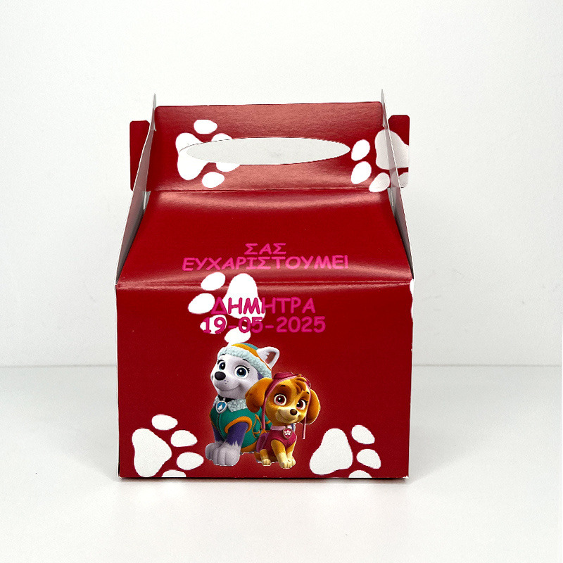 Κουτάκι Paw Patrol Girl τύπου Lunch Box