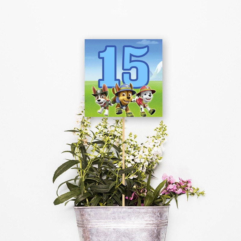 Αρίθμηση τραπεζιού Paw Patrol τετράγωνο