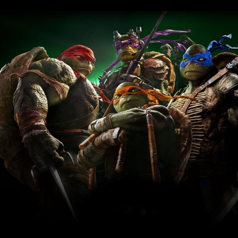 Χελωνονιντζάκια