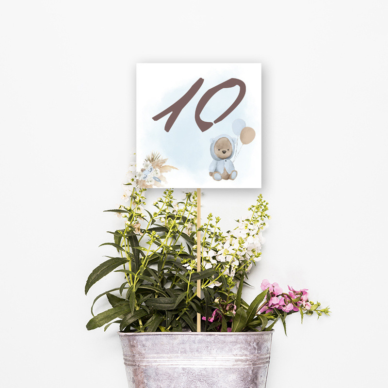 Αρίθμηση τραπεζιού Αρκουδάκι για Αγόρι τετράγωνο