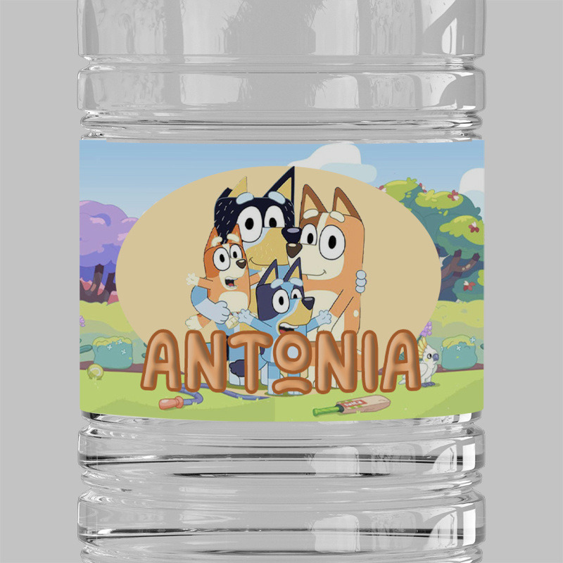 Ετικέτες νερού με όνομα Bluey / 8 τμχ