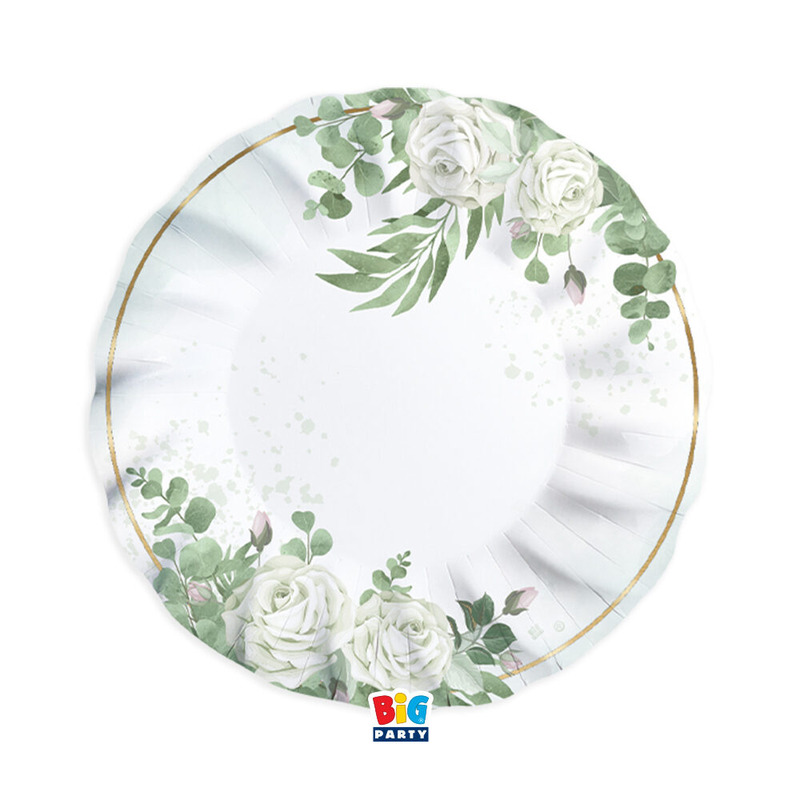 Πιάτα Χάρτινα 24 εκ Ευκάλυπτος / 6 τεμ