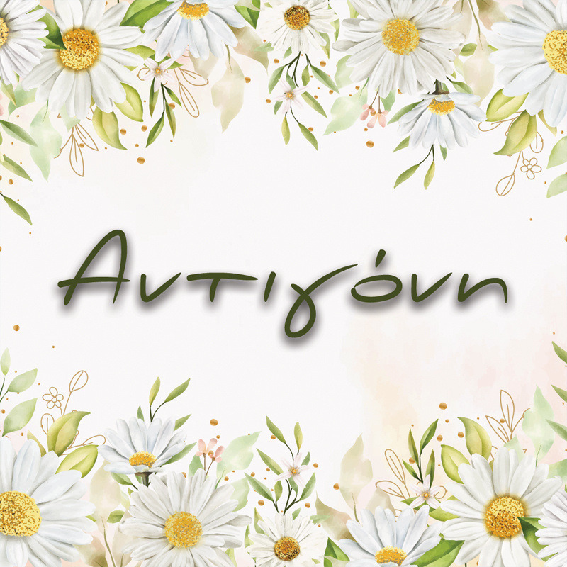 Σουβέρ χάρτινο Μαργαρίτα / 8τμχ