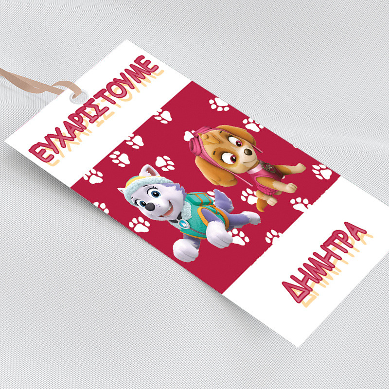 Ετικέτα δώρου χάρτινη με όνομα Skye and Everest / 5τμχ