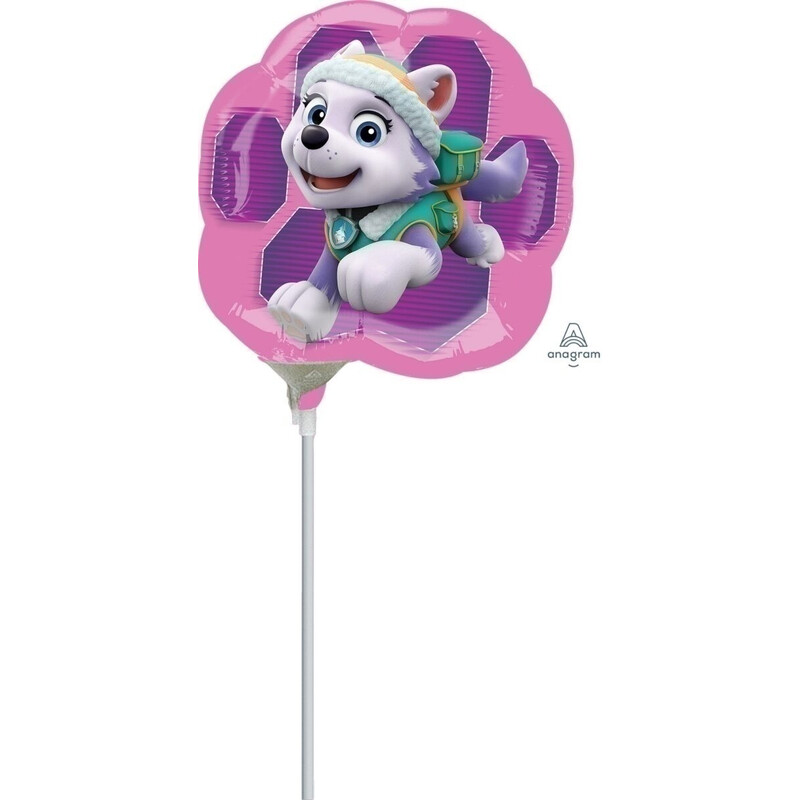 Μπαλόνι Φοιλ Μίνι Δύο Όψεις 9'' Paw Patrol / 23 εκ - Skye & Everest