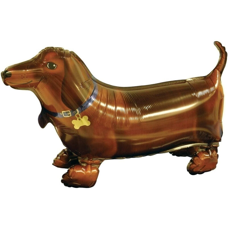 Walking Balloon Ντασχουντ Σκύλος/dog