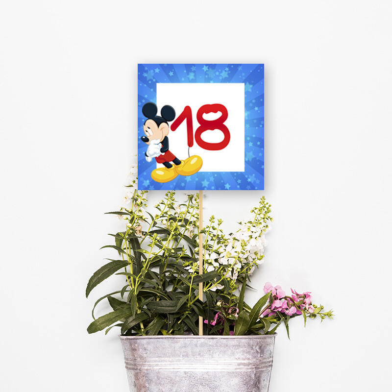Αρίθμηση τραπεζιού Mickey τετράγωνο