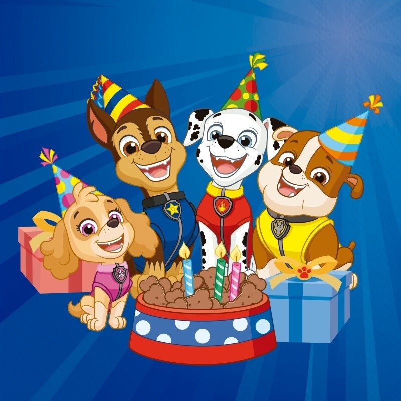 Χαρτοπετσέτες φαγητού 33Χ33 Paw Patrol /20 τεμ