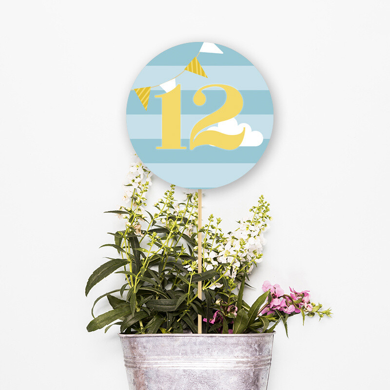 Αρίθμηση τραπεζιού 1st Birthday boy κύκλος
