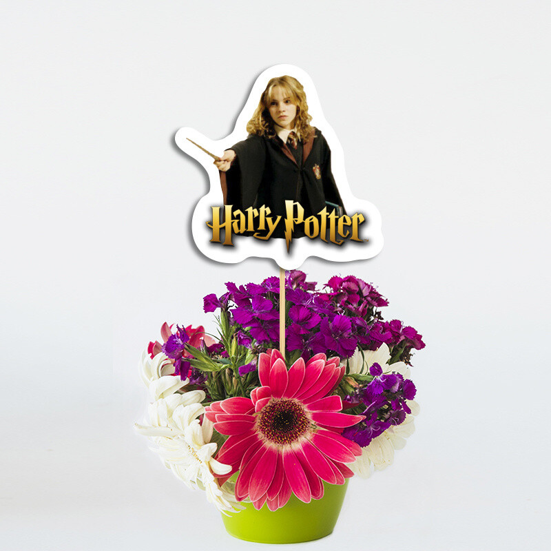 Διακοσμητικό Τοππερ Harry Potter χάρτινο για το τραπέζι/ 20cm